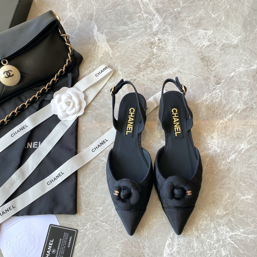 Midnight Shoes